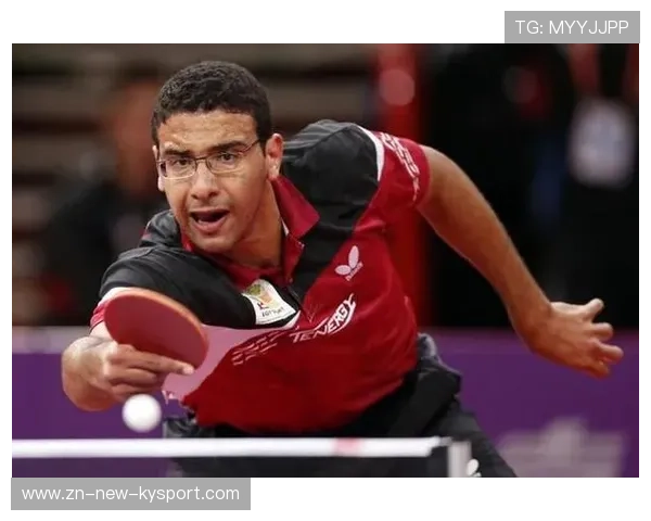 2024年埃及队表现:混合团体世界杯赛场的拼搏与成长,埃及2022世界杯